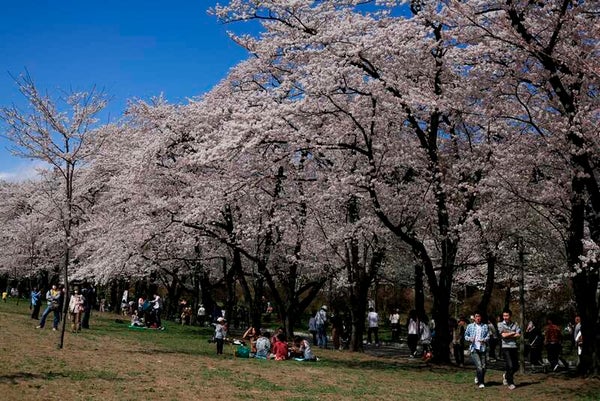 【福岡空港発】 よみうり伊香保温泉まつり 3日間 2